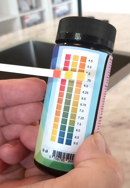 ph test strips demo