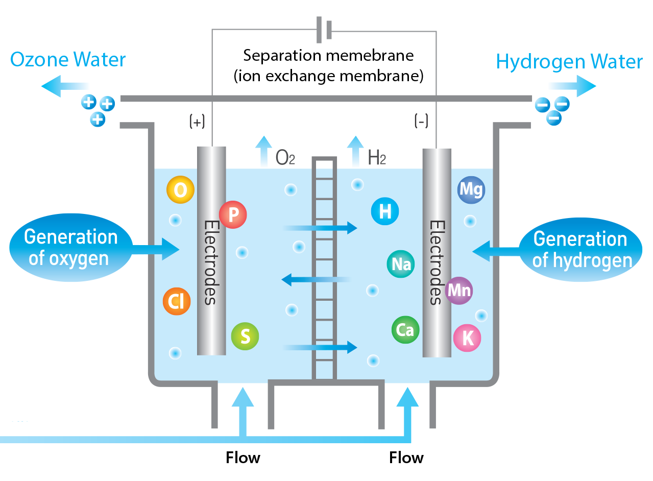 Hydrogen Water Generator Cell