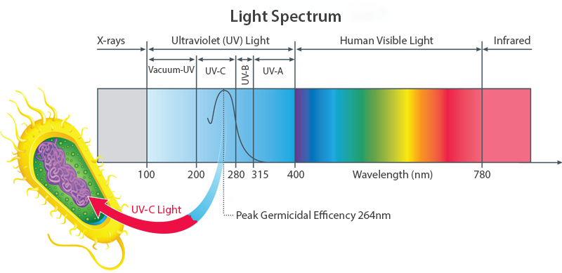 Ultraviolet light