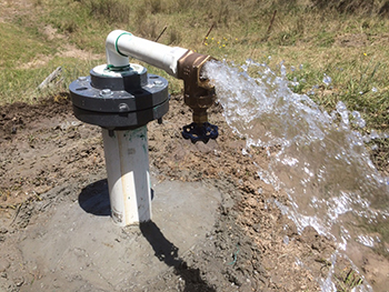 Capped Bore Water 