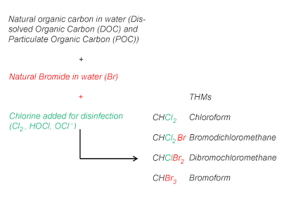 THMS 3 1