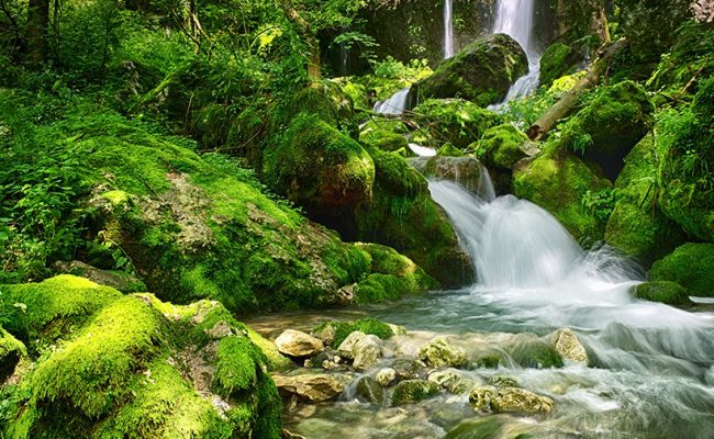 green-water green-water