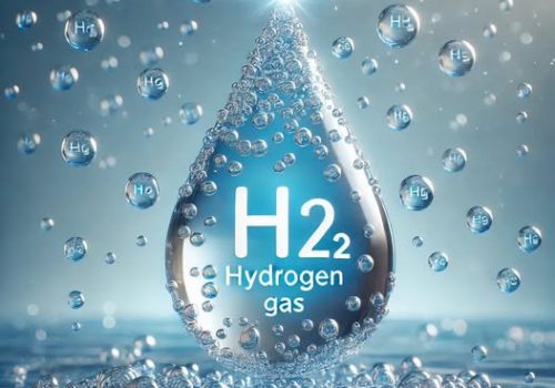 Water ionizers versus PEM membrane hydrogen water generators. cover